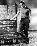 Marlon Barndo